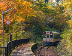 紅葉を駆け巡る旅