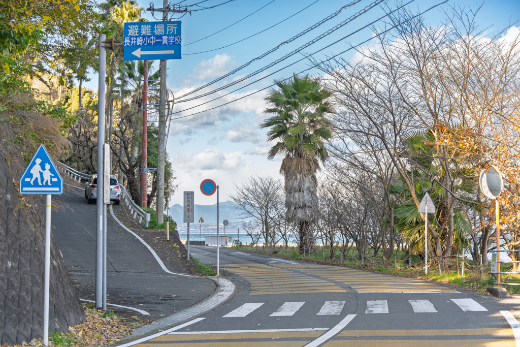 いつもの横断歩道