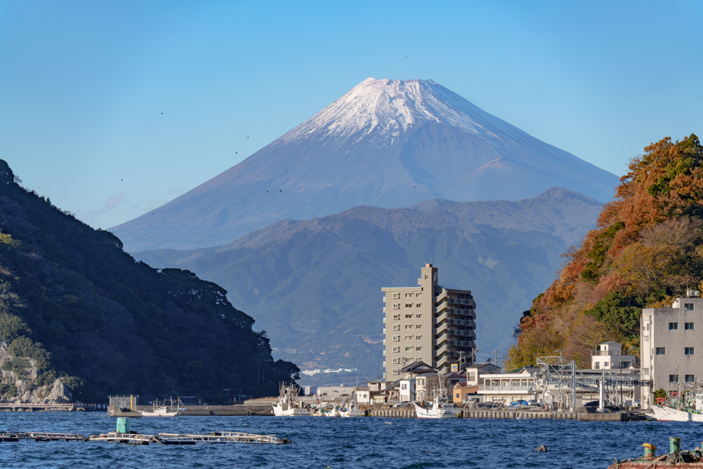 ２０２５年もよろしくお願いします。