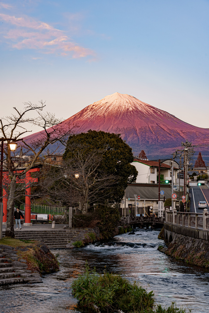 2025今年もありがとうございました。