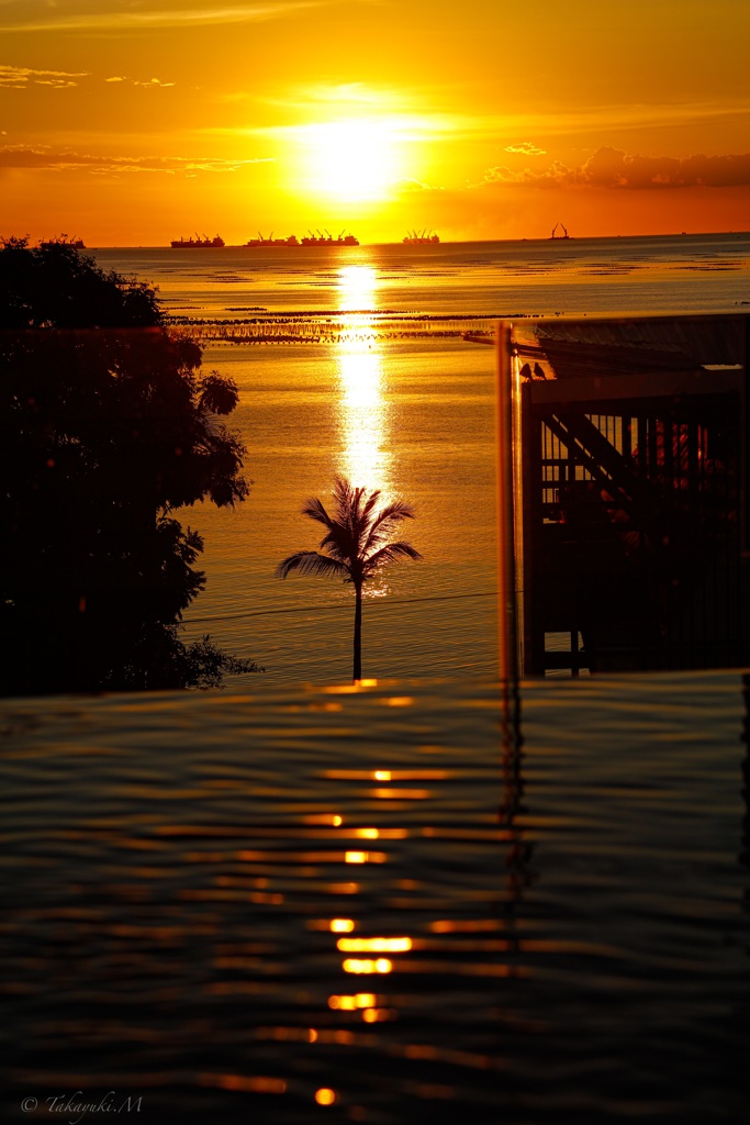 Tropical twilight couple