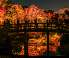 violent autumn