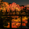 violent autumn
