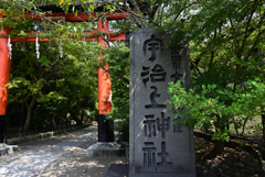 夏の京都　宇治上神社