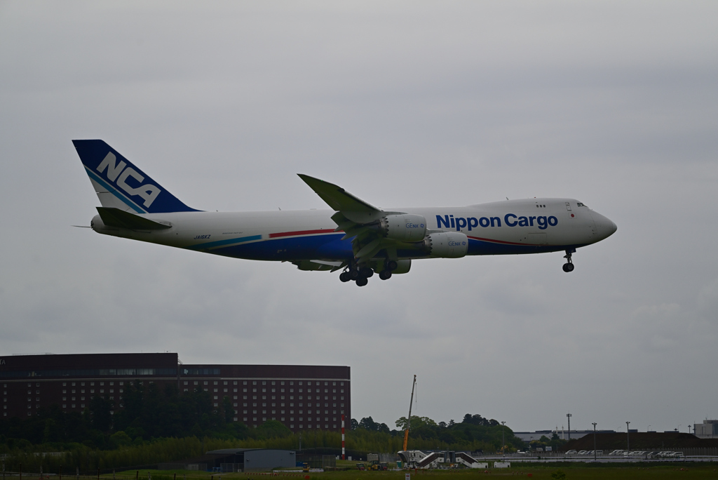 NIPPON CARGO