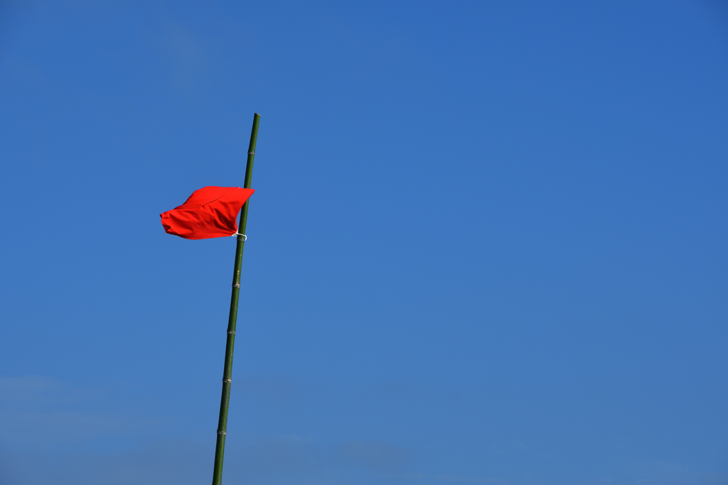 Flag on the beach