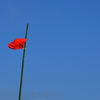 Flag on the beach