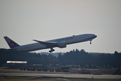 Dynasty Take off