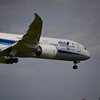 ANA 50機目のB787
