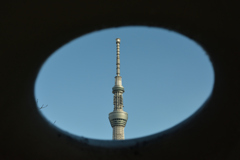 Focus to Sky tree