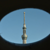 Focus to Sky tree