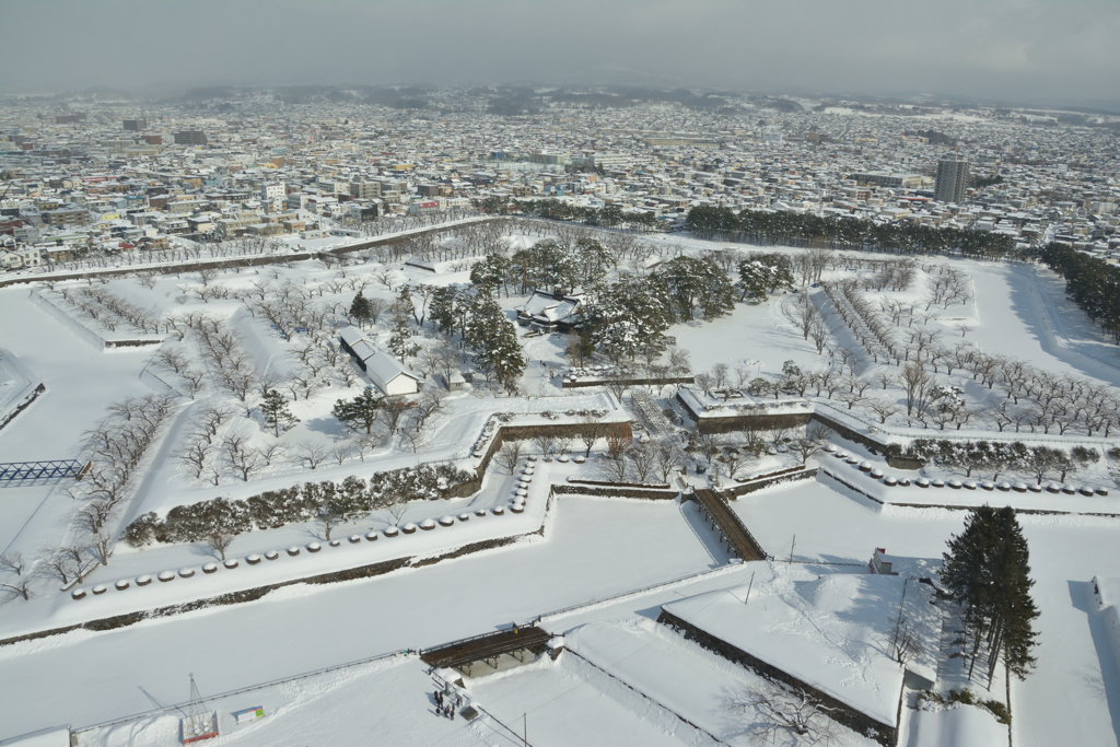 雪の五稜郭