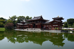 夏の京都　平等院鳳凰堂