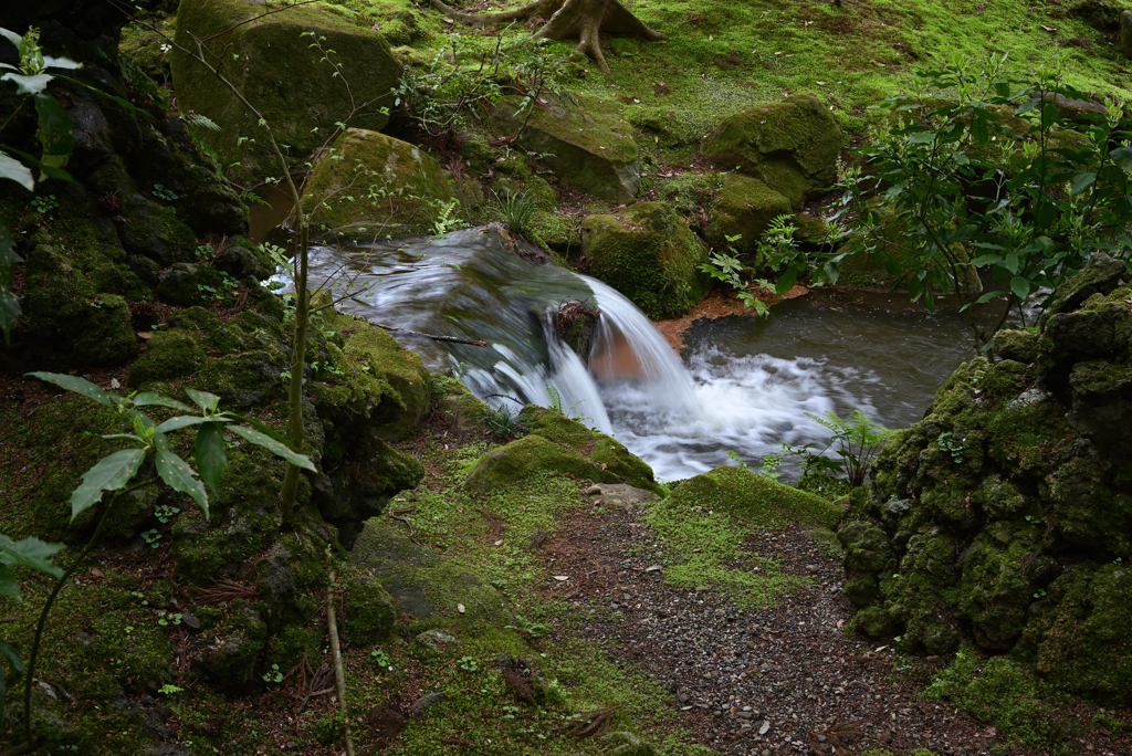 小川の流れ