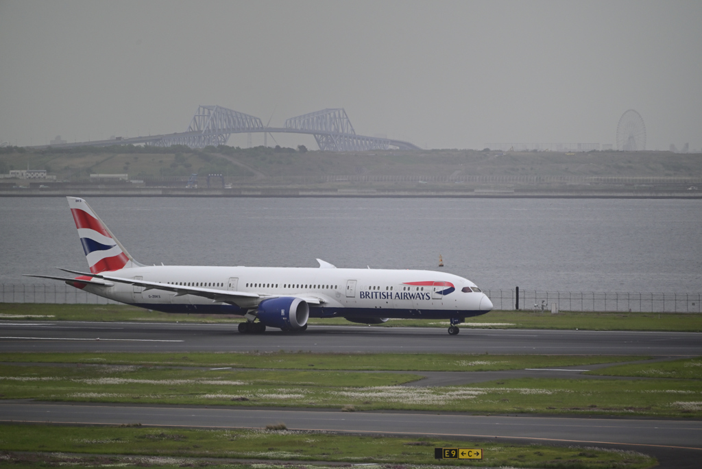 Speed bird take off...