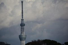 積雲とスカイツリー