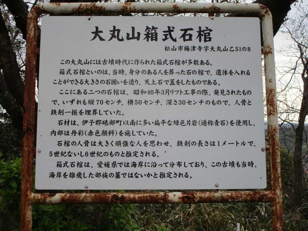 大丸山　箱式石棺の解説