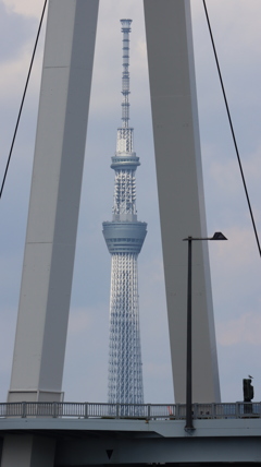 東京スカイツリーがすっぽり