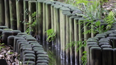 小川