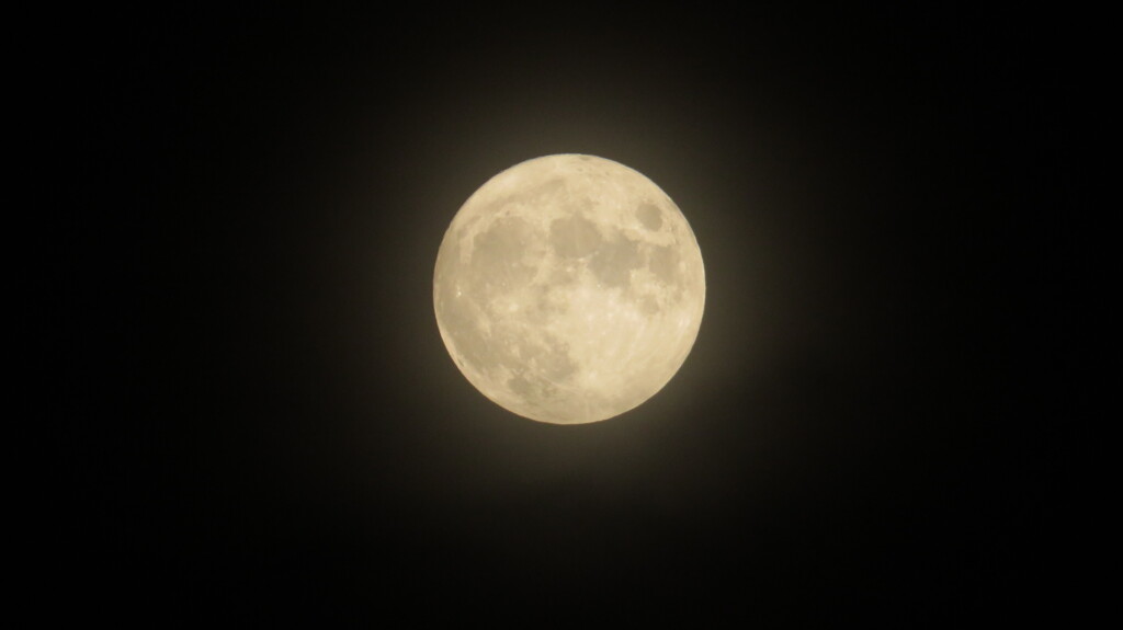 Full moon