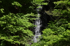 釜沢の滝