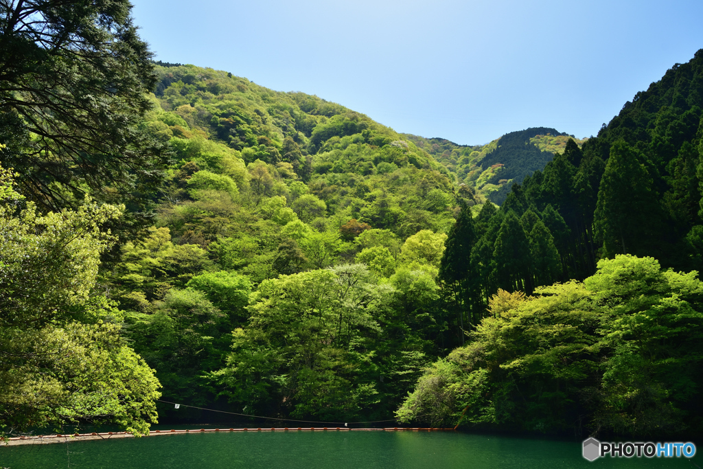 萌黄色の山