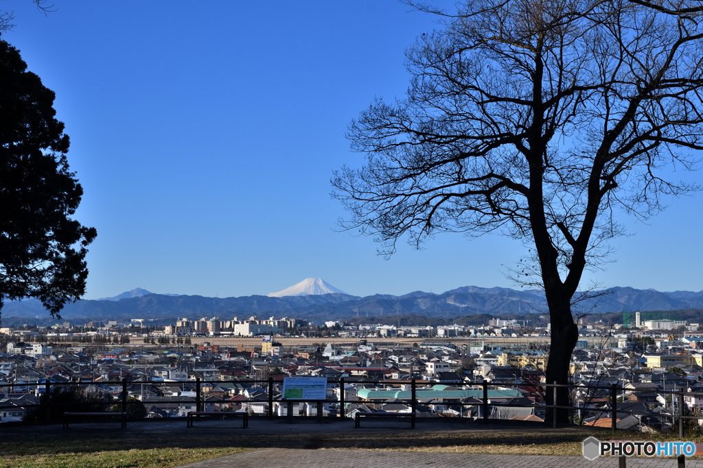 ご無沙汰しております