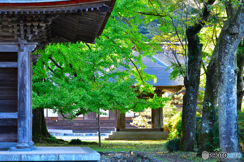 廣徳寺 鐘突き堂