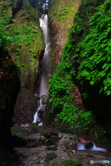 黒山三滝　天狗滝