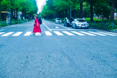 横断歩道