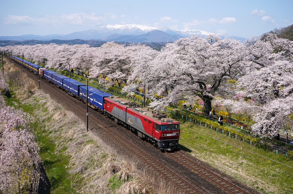 貨物列車