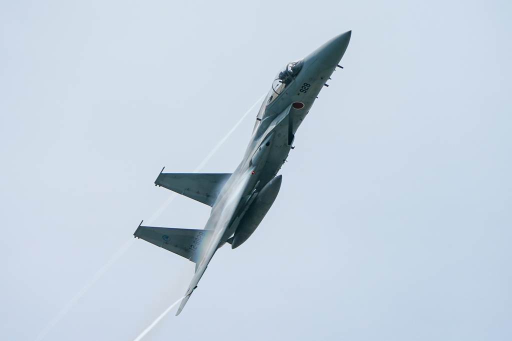 F-15 機動飛行