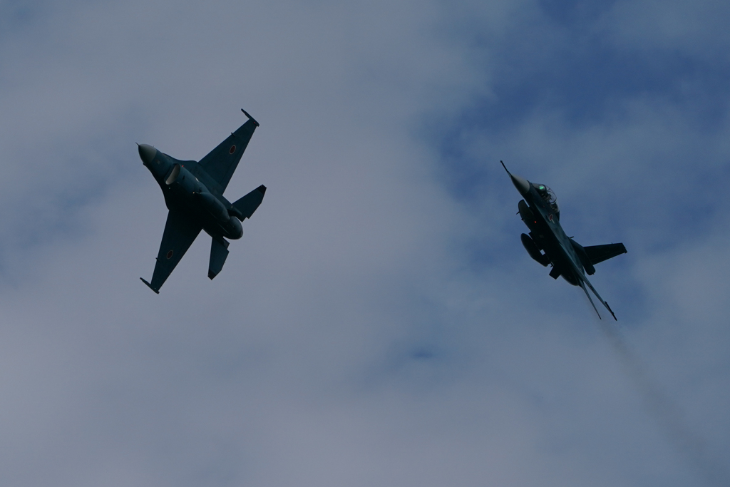 ウエルカムフライト