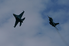 ウエルカムフライト