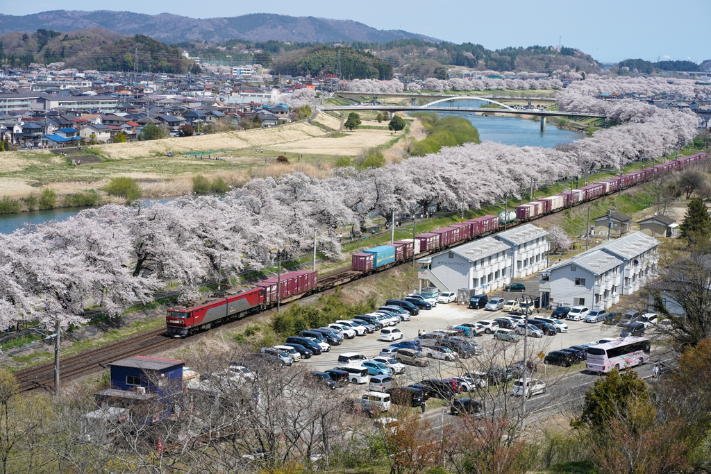 船岡城址公園より