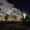 夜桜 舞木駅