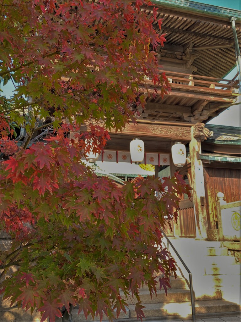 神社の紅葉