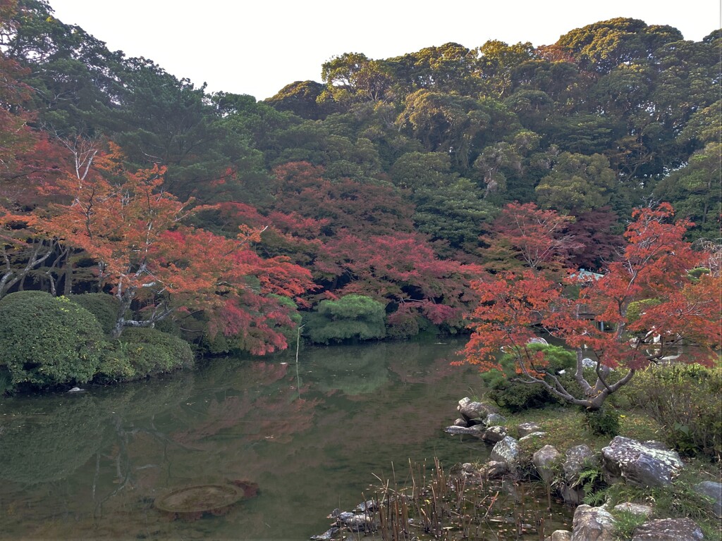 紅葉