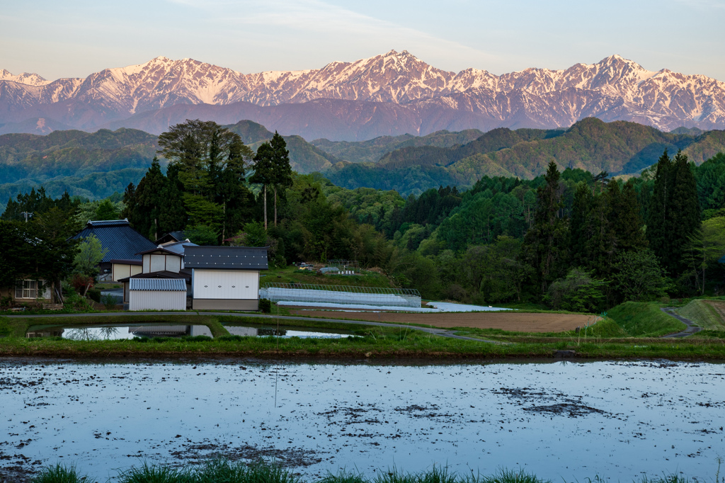 小川村からの便り