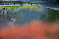 色づくの水辺
