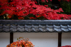 白壁塀と赤の屋根
