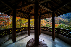 展望台の秋