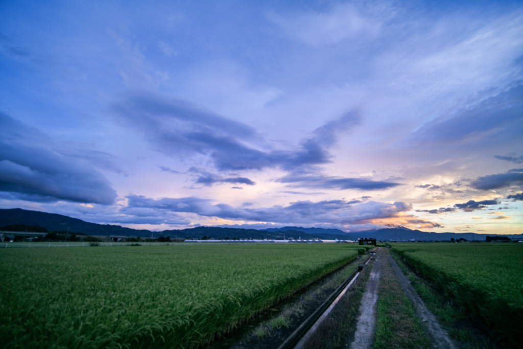 雲ざわつく夏の朝