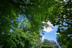 囲まれた城