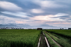 真夏のデイブレイク