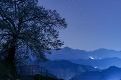 夜の山と桜影