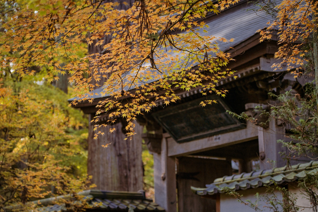 秋迎える山門