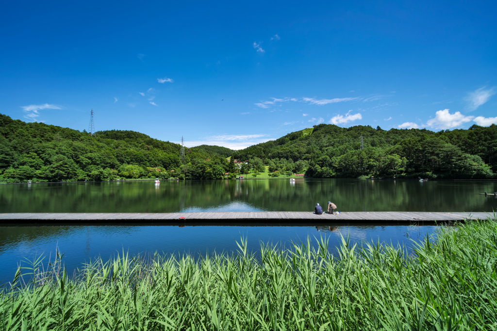 釣り日和