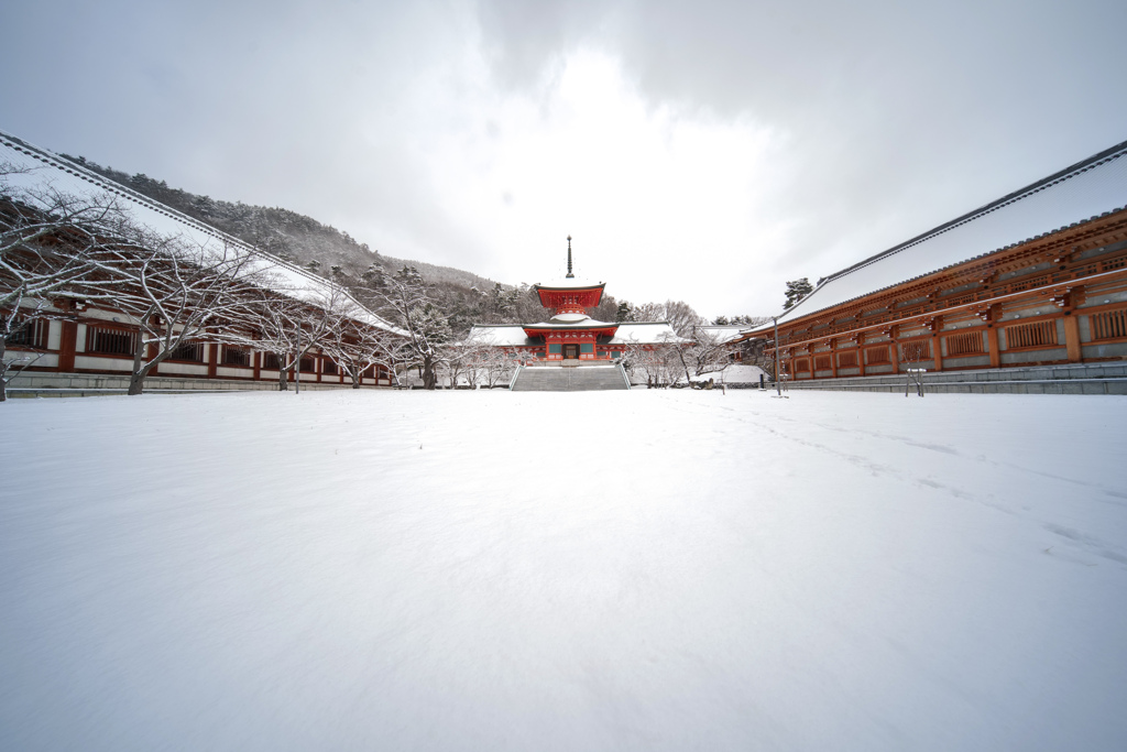 真白な善光寺 雲上殿