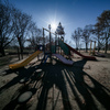 公園と太陽